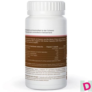 Kingnature REISHI VIDA Kaps 300 mg Bio Sporen Ganoderma Lucidum Ds 120 Stk