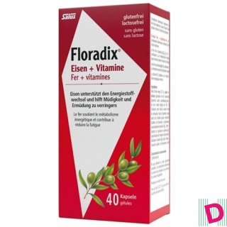 Floradix Eisen + Vitamine Kaps 40 Stk