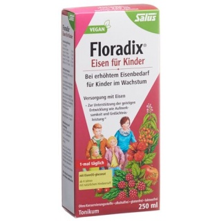 Floradix Eisen für Kinder Saft Fl 250 ml