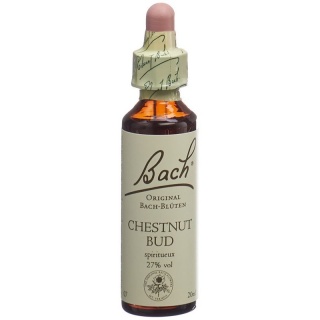 Bach-Blüten Original Chestnut Bud No07 20 ml