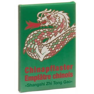Chinapflaster Shangshi Zhi Tong Gao 10 Stk