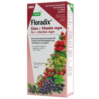Floradix VEGAN Eisen + Vitamine Saft Saft Fl 500 ml