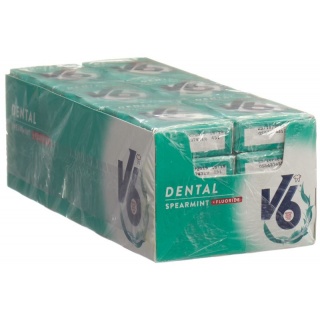 V6 Dental Care Kaugummi Spearmint + Fluoride 24 Box