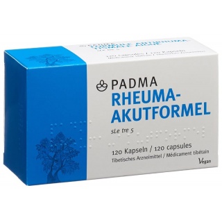 PADMA Rheuma-Akutformel Kaps 120 Stk