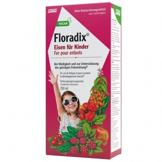 Floradix Eisen + Vitamine für Kinder Saft Fl 250 ml