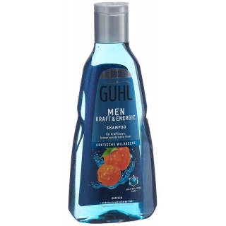 GUHL Men Kraft & Energie Shampoo Fl 250 ml